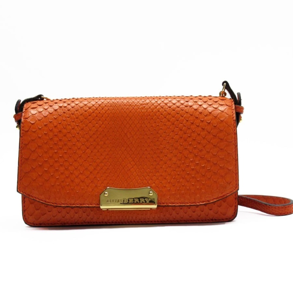 Burberry Python Leather Shoulder Wallet Orange - image 1